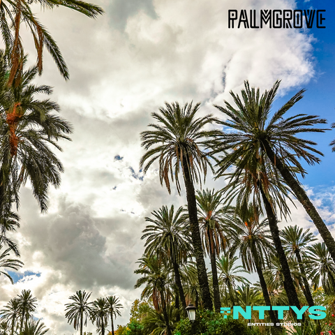 PALMGROVE